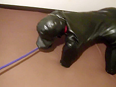 Cohi - 027 - Rubberdog2