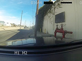 Cops harass street hooker, then fuck her in public