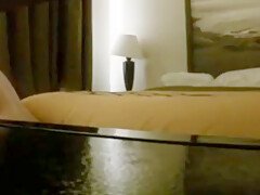 Craigslist Top Breeds Me In Hotel