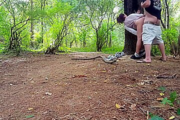 Creeper in the woods