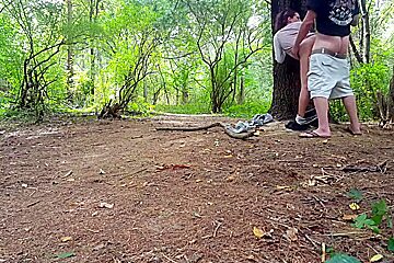 Creeper in the woods