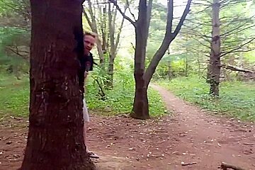 Creeper in the woods