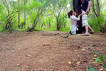 Creeper in the woods
