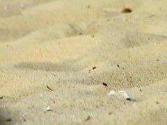 Cute lesbian teens 18+ enjoying sunbathing at nudist beach