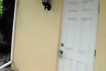 Cute scraggy Delilah in real blowjob video in the open