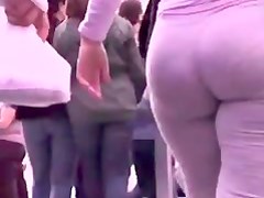 DONKEY IN GREY