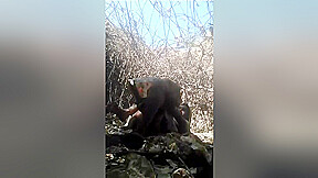 Desi Cpl Outdoor Blowjob And Fucked