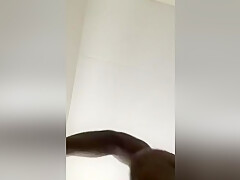 Digging Puss
