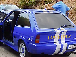 Djokara gnjurci
