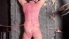 Dominatrix training 2 by Femdom Austria
