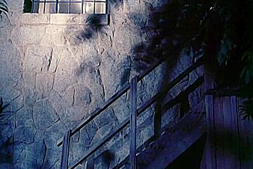 Dracula Sucks - 1978