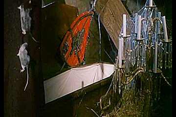 Dracula Sucks - 1978