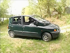 Driving Assistance