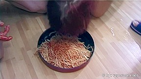 Eat Or   
