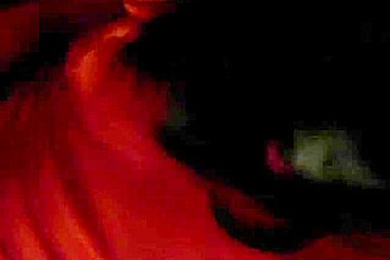 Ebony Sissy Self-Facial