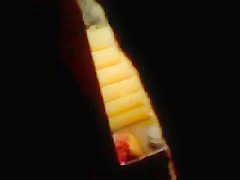 Espiando a mi tia en la regadera