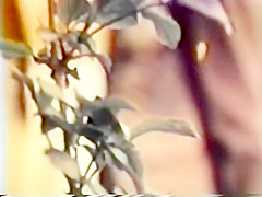 European Peepshow Loops 269 70's and 80's - Scene 2