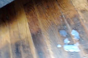 Excellent porn video transsexual Big Cock watch uncut