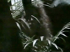 Exotic amateur Celebrities, Group Sex sex scene