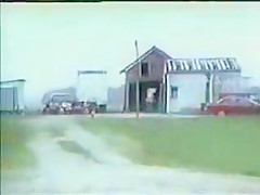 Farm-Bears