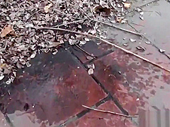 Fetish asian slut peeing in street
