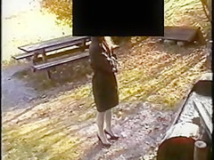 Flash by the road