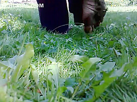 Flowers Crushed by Bare Feet