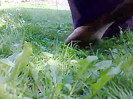 Flowers Crushed by Bare Feet