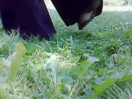 Flowers Crushed by Bare Feet