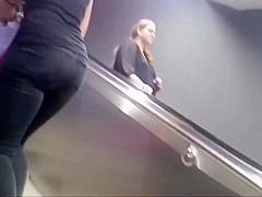 Follow that ass