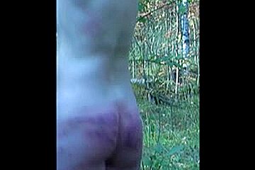 Forest whipping in Russian Federation