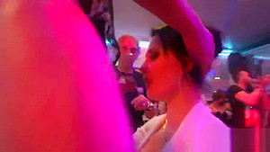 Foxy kittens get entirely silly and nude at hardcore party