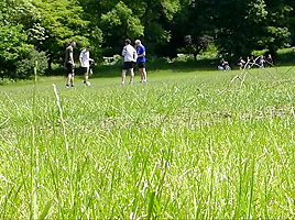 Fun In The Park