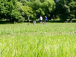Fun In The Park