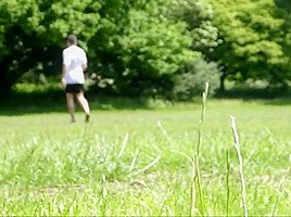 Fun In The Park