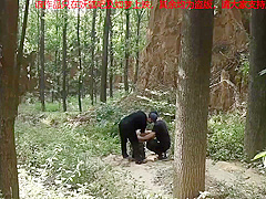 Girl Captured Bound In A Forest