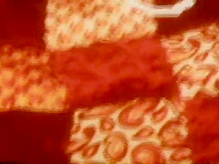 Group Loops (full Movie)
