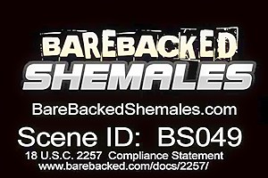 Hard Dick Awesome Shemale Have Fucked