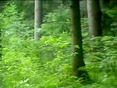 Hard rough sex in the forest