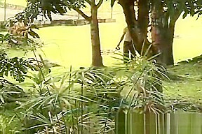 Hardcore outdoor bareback threesome with horny fuckers