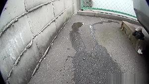 Heeled asian pee carpark