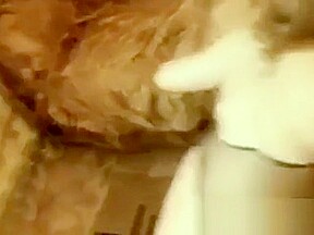 Home video - Big ass needs a good fuck