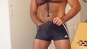Horny Bear in swim trunk