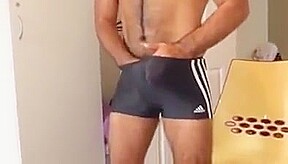 Horny Bear in swim trunk