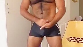 Horny Bear in swim trunk