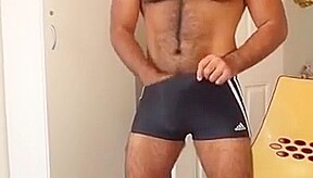 Horny Bear in swim trunk