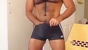 Horny Bear in swim trunk