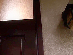 Hot Stepmom Feel So Horny Teasing Her Big Cock Stepson To Fuck Her Wet Pussy And Make Her Orgasm