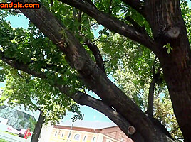 Humiliated bondage MILF exposed and facialized in public