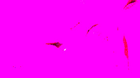 Indian Desi Hot Wife Masturbation
